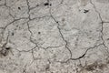 A close up of dry soil. Cracked ground with dry surface texture Royalty Free Stock Photo