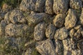 Close-up of a dry stone wall, marge