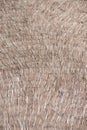 Close up dry straw thatch roof of traditional Thai house. Royalty Free Stock Photo