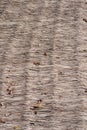 Close up dry straw thatch roof of traditional Thai house. Royalty Free Stock Photo