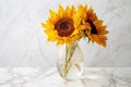 close-up of a dry sunflower in a glass vase on a white marble table Royalty Free Stock Photo