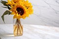 close-up of a dry sunflower in a glass vase on a white marble table Royalty Free Stock Photo