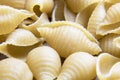 Close up of whole wheat small shell pasta noodles