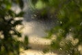 Close up dry water stains on the glass window, water drops of rain on a window glass