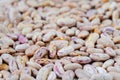 Close-up dry white beans Royalty Free Stock Photo