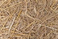 Close up of dry yellow straw grass background texture after have Royalty Free Stock Photo