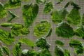 Close up of drying lemon balm leaves on a mesh.