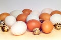 Close up duck egg and quail eggs on white Background Royalty Free Stock Photo