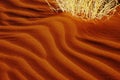 Close-up of dune ripples, Namibia