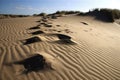 close-up of a dune, with windblown sand and footprints in the foreground