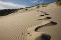 close-up of a dune, with windblown sand and footprints in the foreground