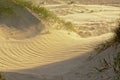 Windy Liepaja dunes along the baltic sea