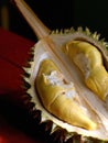 Close up of durian fruit on black background created using generative ai technology