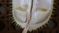 Close-up of Durian Fruit Royalty Free Stock Photo