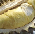 Close up of durian fruit created using generative ai technology