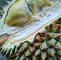 Close up of durian fruit created using generative ai technology