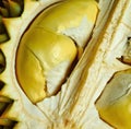 Close up of durian fruit created using generative ai technology