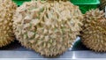 Close Up of Durians Fruit with full of thorns and textured skin Royalty Free Stock Photo