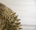 Close up durian.