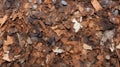 Close-up Of Dusty Piles: A Brown Layer Of Leaves In Nacho Carbonell Style