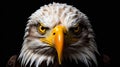 Close up of eagle's face with yellow eyes and yellow beak. Generative AI Royalty Free Stock Photo