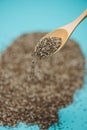 Close-up of ealthy chia seeds in a spoon. Text space