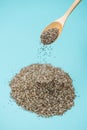 Close-up of ealthy chia seeds in a spoon. Text space