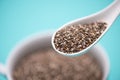 Close-up of ealthy chia seeds in a spoon. Text space. Royalty Free Stock Photo