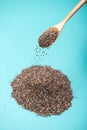 Close-up of ealthy chia seeds in a spoon. Text space.