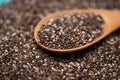 Close-up of ealthy chia seeds in a spoon. Text space.