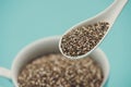 Close-up of ealthy chia seeds in a spoon. Text space. Royalty Free Stock Photo
