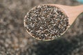 Close-up of ealthy chia seeds in a spoon. Text space.