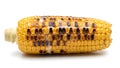 A close up of an ear of corn on the cob (ai generated) Royalty Free Stock Photo