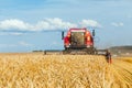 Close-up ears of wheat at field and harvesting machine on background Royalty Free Stock Photo