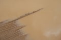 Close-up of earthy and muddy puddle on wet dirt road