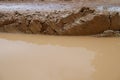 Close-up of earthy and muddy puddle on wet dirt road