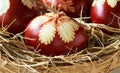 Easter eggs dyed with onion skins with a pattern of fresh plants on white background Royalty Free Stock Photo