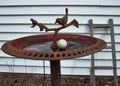 Close-up of Eggs hidden for Easter egg hunt in bird bath in backyard.