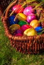 Close-up of Easter eggs in various colors in wicker basket on grass in the garden on sunny April morning springtime. Egg hunt.