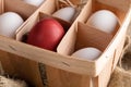 Close-up eco-friendly wooden box with white eggs and one red Easter egg. Royalty Free Stock Photo