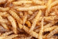 Close-up edible fried worms molitors insects meal suitable as food snack.selective focus Royalty Free Stock Photo