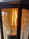 Close up of edison style lightbulb Royalty Free Stock Photo