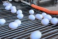 Close up of an egg conveyor