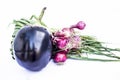 Close up of eggplant and fresh spring onion isolated on white. Royalty Free Stock Photo