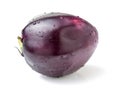 Close up of eggplant