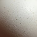 Close-up of an eggshell surface, revealing its texture and small speckles. The shell Royalty Free Stock Photo