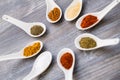 Close up of eight ceramic spoons arranged to a star with colorful spices