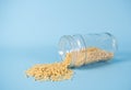 Boxed macaroni and cheese elbow pasta spilling out of glass jar on blue background Royalty Free Stock Photo