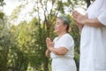 Close-up of an elderly couple doing exercises in the park Do yoga together. The concept of living and for good health Royalty Free Stock Photo