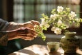 Close up of an elderly Japanese woman\'s hands arranging a small ikebana flower.